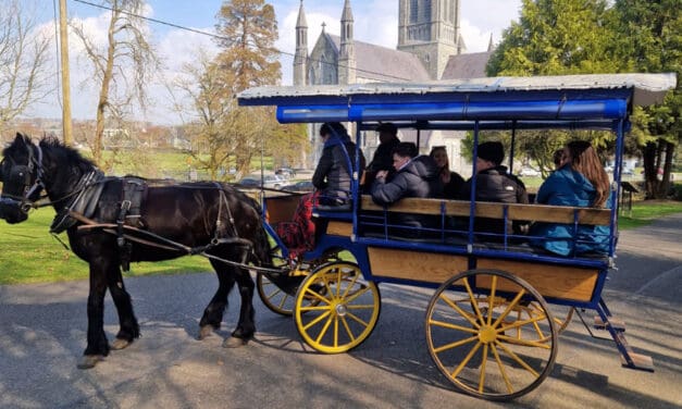 A Picture-Perfect Day in Killarney