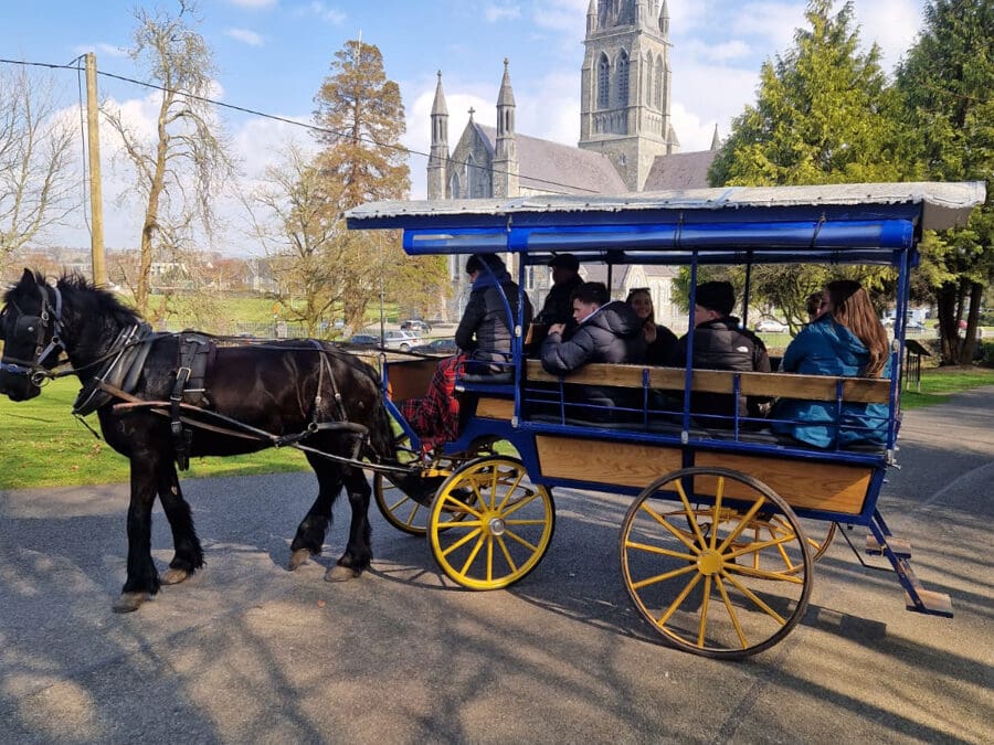 A Picture-Perfect Day in Killarney